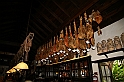 Kanary_2010 148